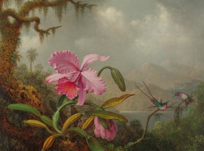 Orchids and Hummingbirds by Martin Johnson Heade